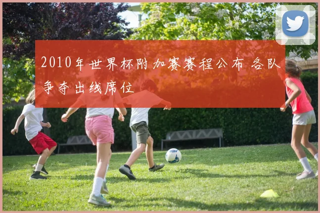 2010年世界杯附加赛赛程公布 各队争夺出线席位
