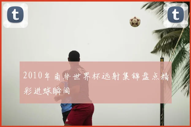 2010年南非世界杯远射集锦盘点精彩进球瞬间