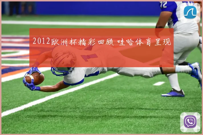 2012欧洲杯精彩回顾 哇哈体育呈现