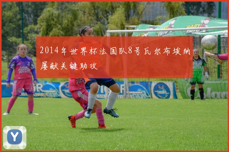 2014年世界杯法国队8号瓦尔布埃纳屡献关键助攻