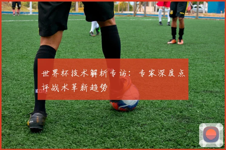 世界杯技术解析专访：专家深度点评战术革新趋势