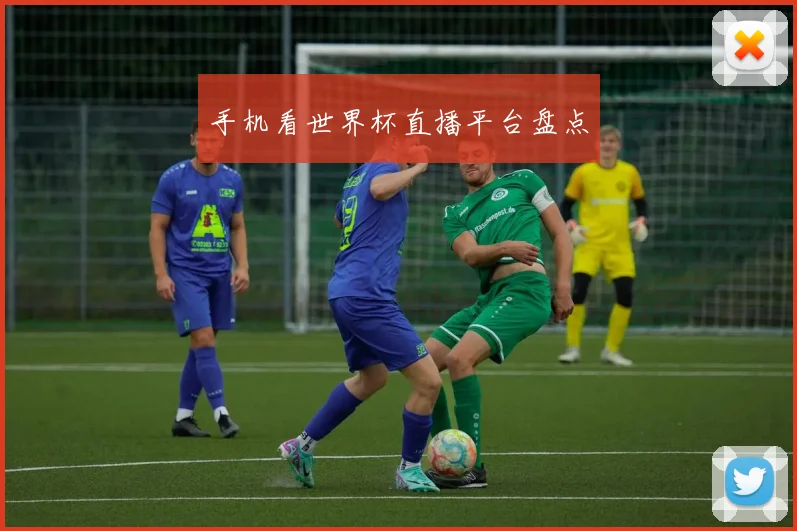 手机看世界杯直播平台盘点