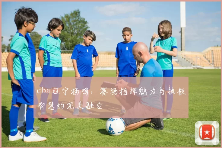 cba辽宁杨鸣,赛场指挥魅力与执教智慧的完美融合