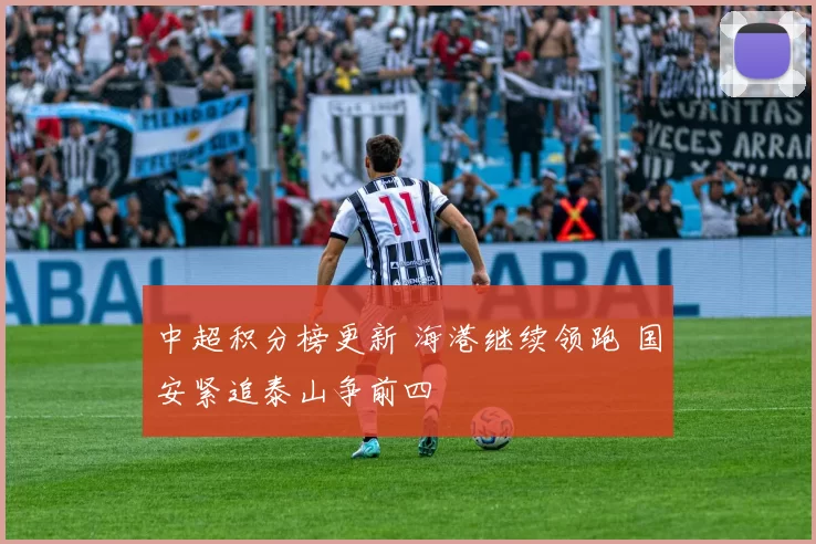 中超积分榜更新 海港继续领跑 国安紧追泰山争前四