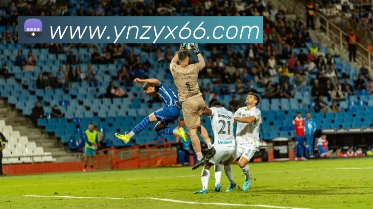 多媒体互动体验